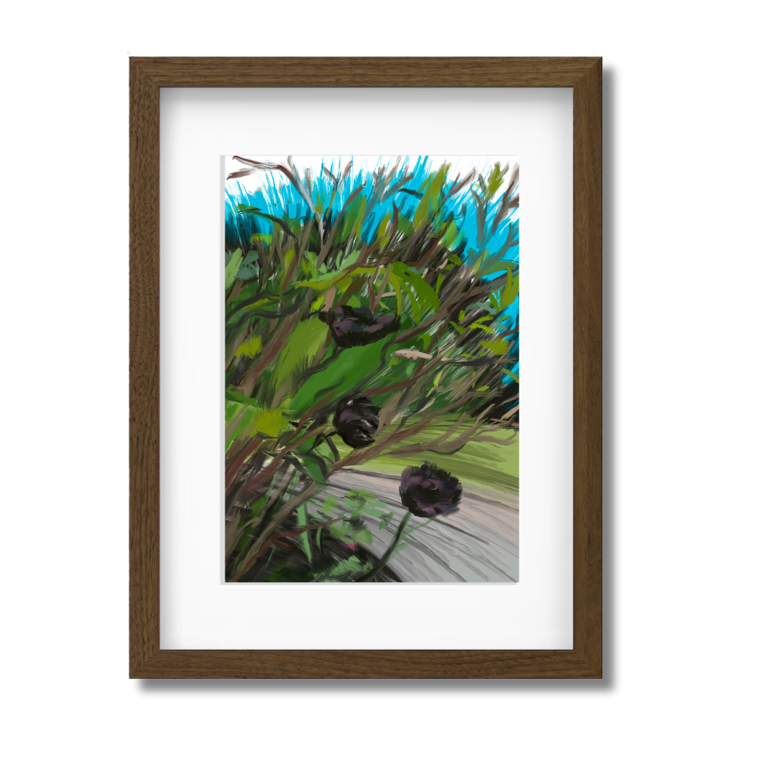 Black Tulips