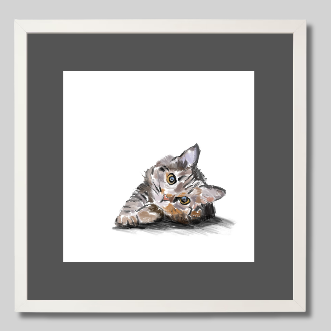 Cat Cat