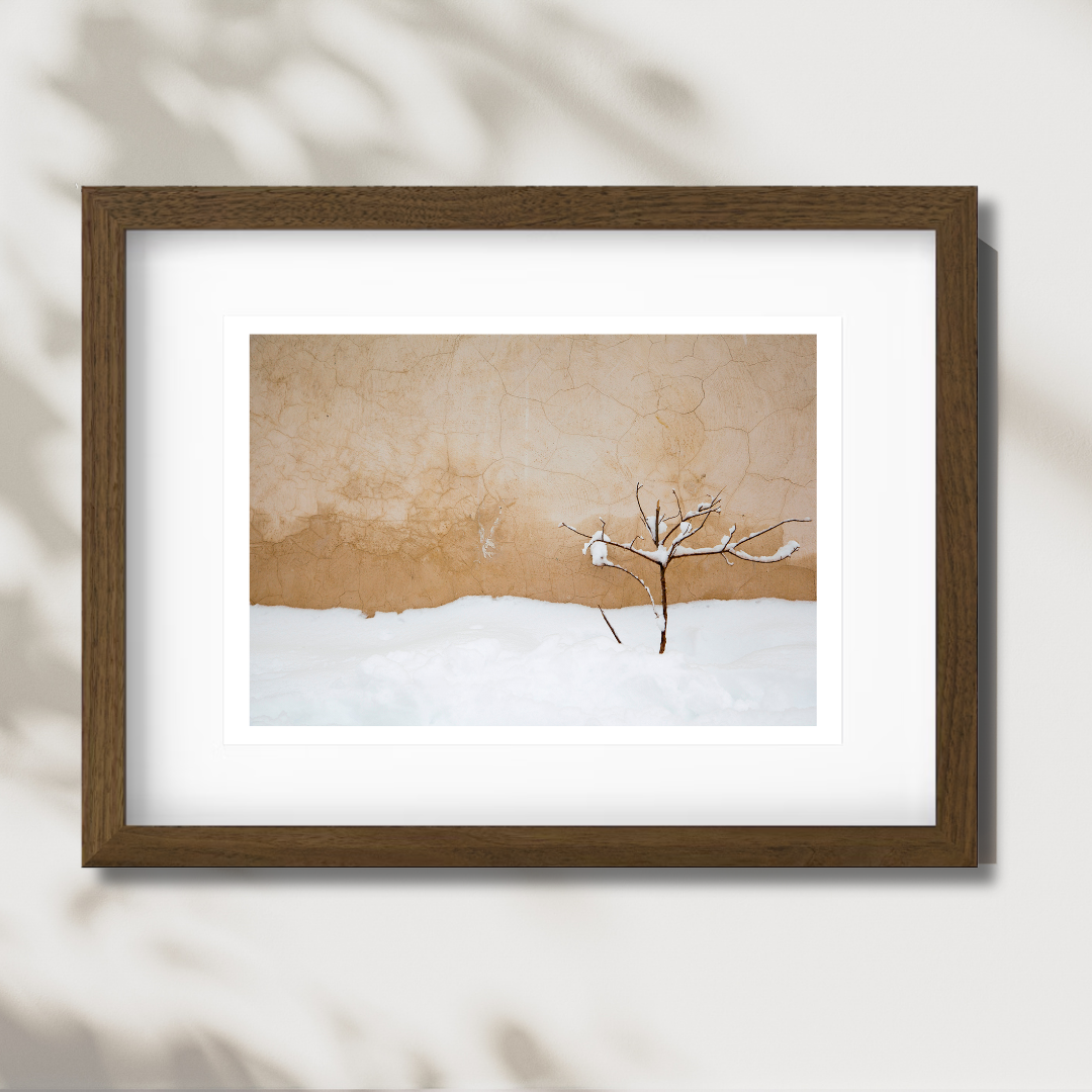 Warm Snow