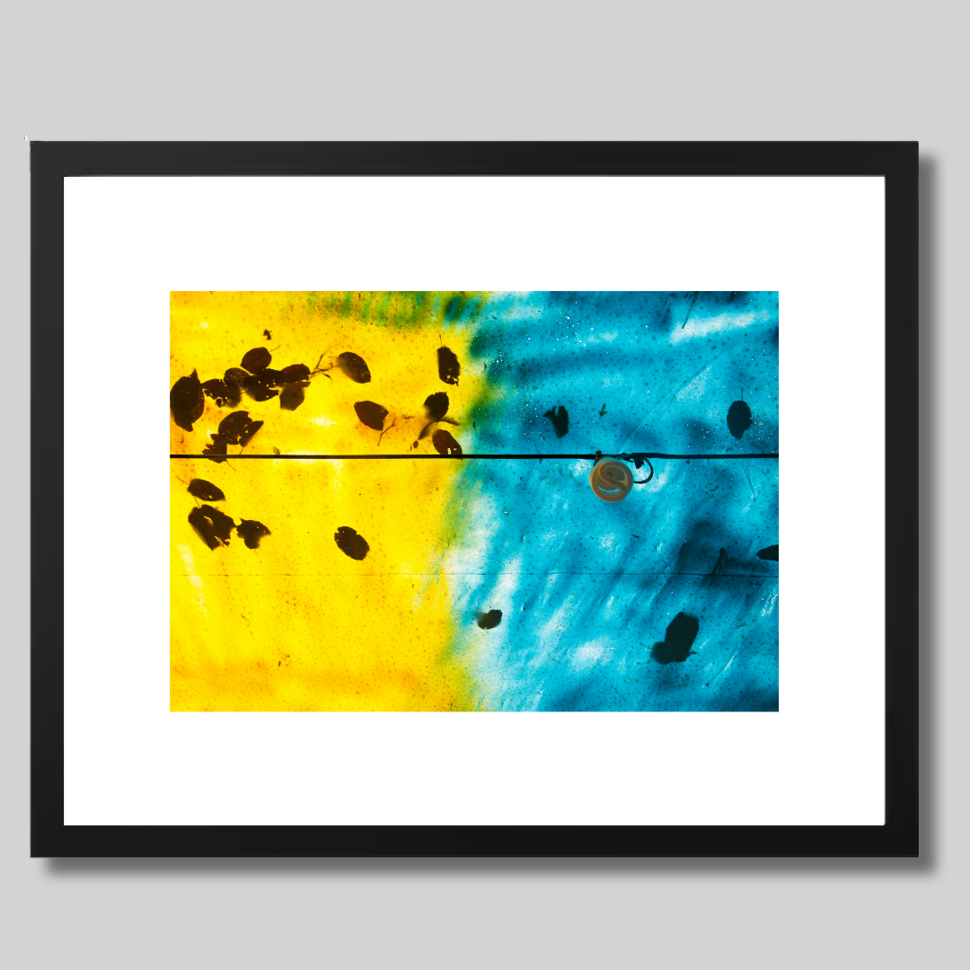 Harmony 1