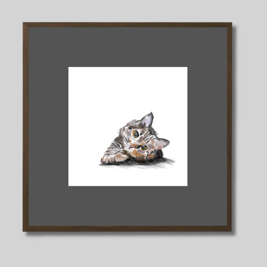 Cat Cat