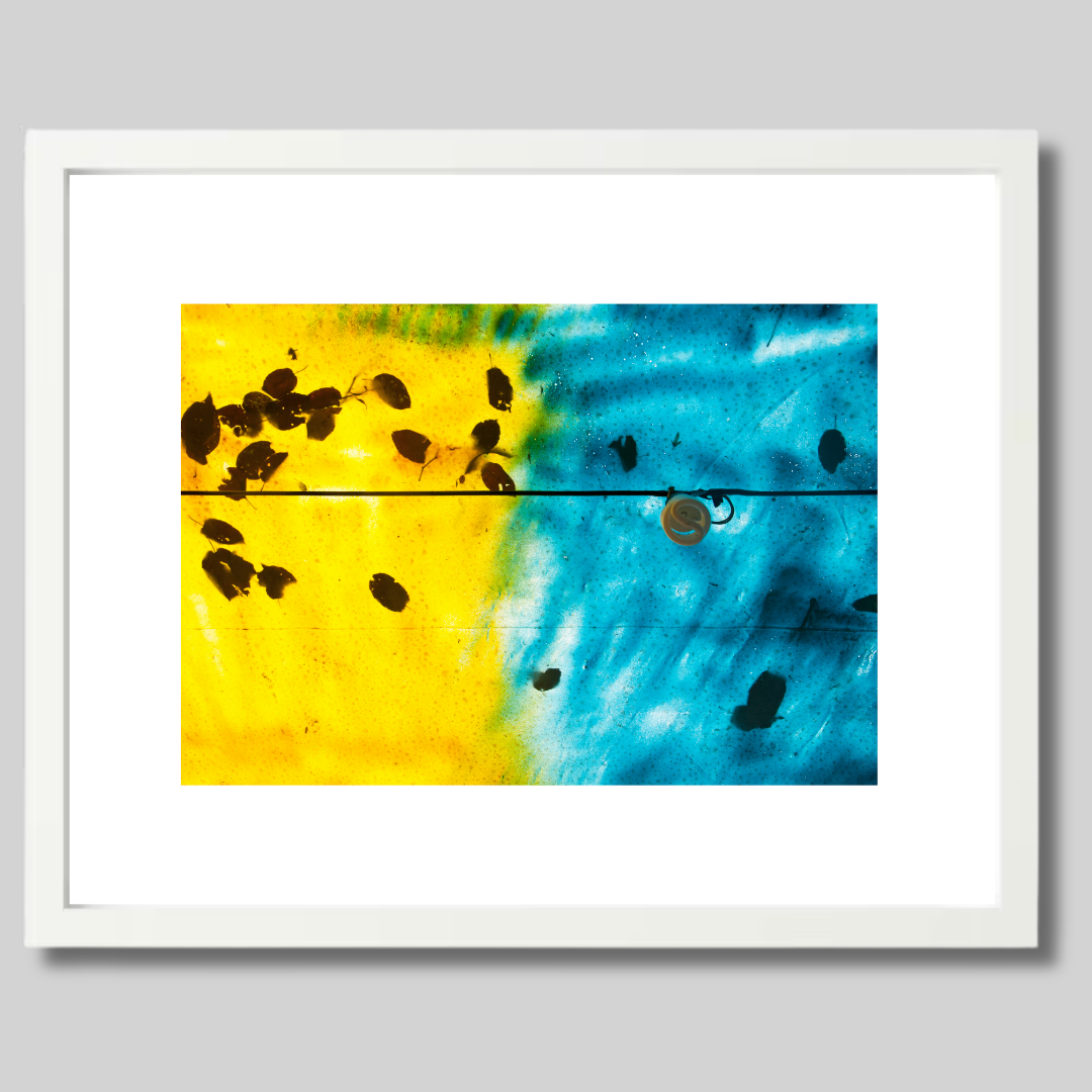 Harmony 1