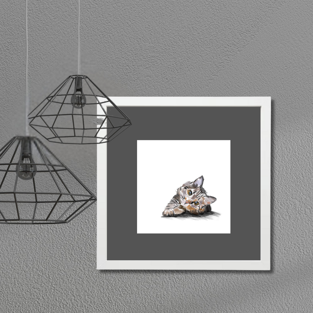 Cat Cat