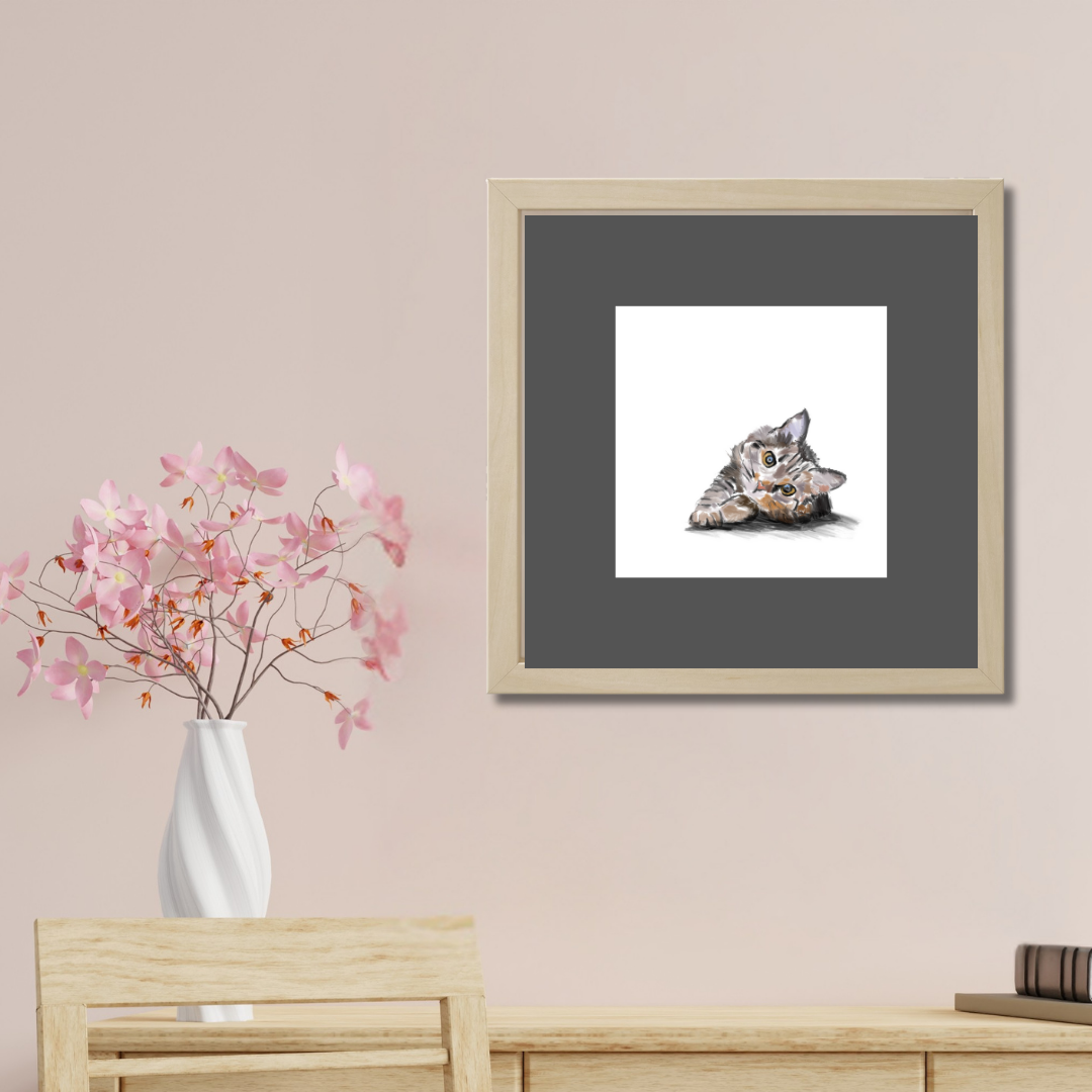 Cat Cat