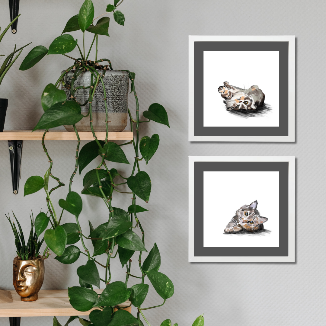 Gallery Wall Set: Cat Mood