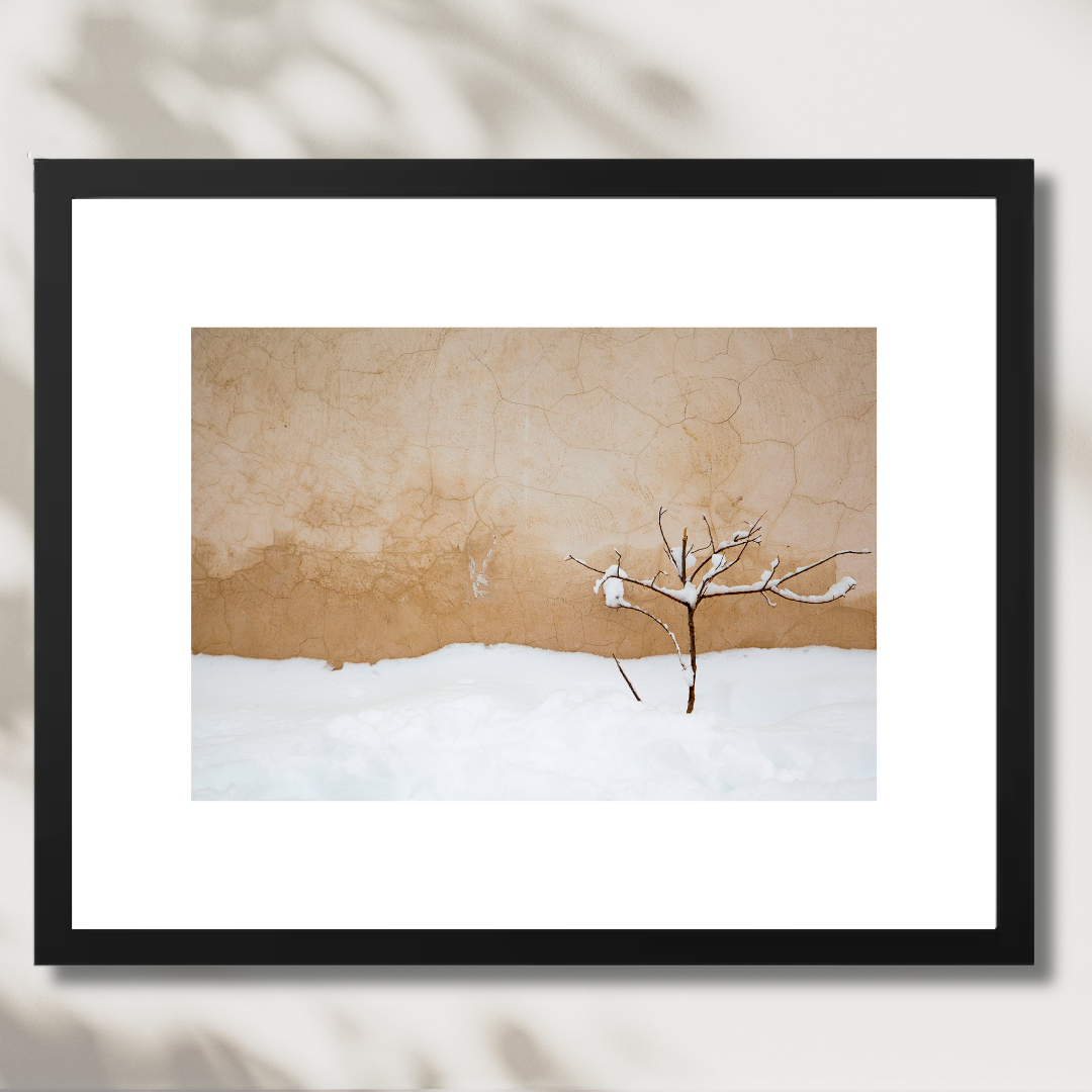 Warm Snow