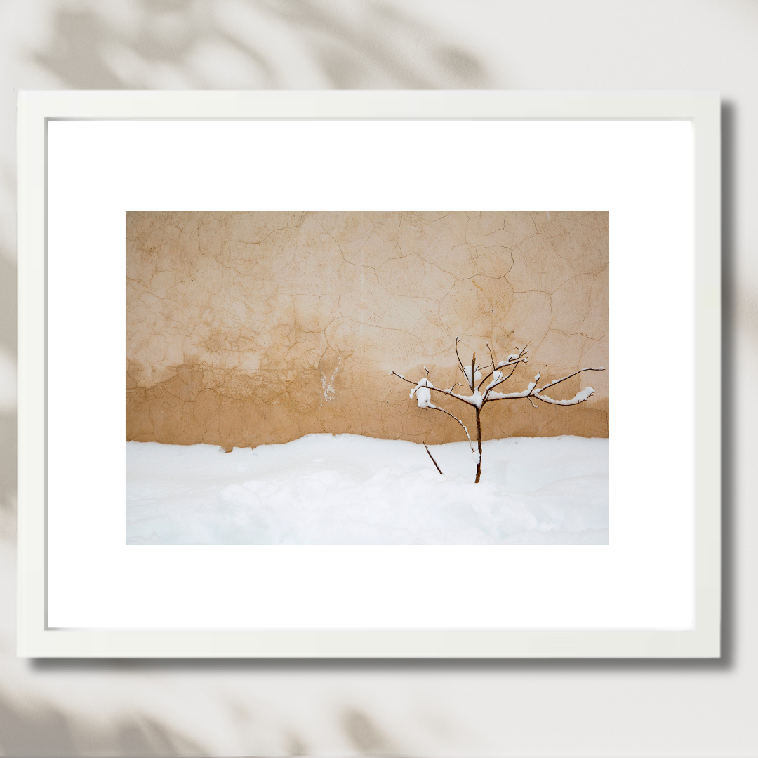 Warm Snow