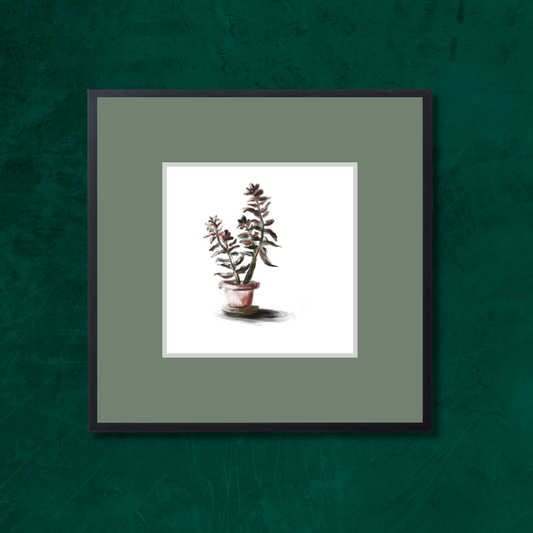 Plant 3