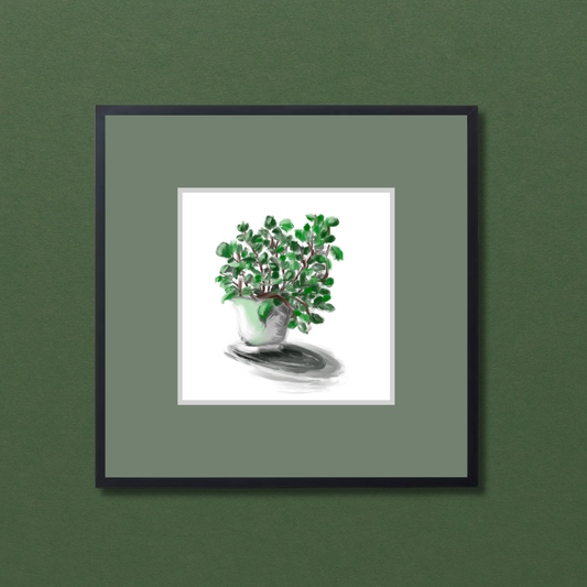 Plant 2