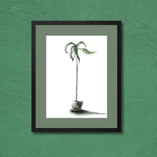 Plant 1