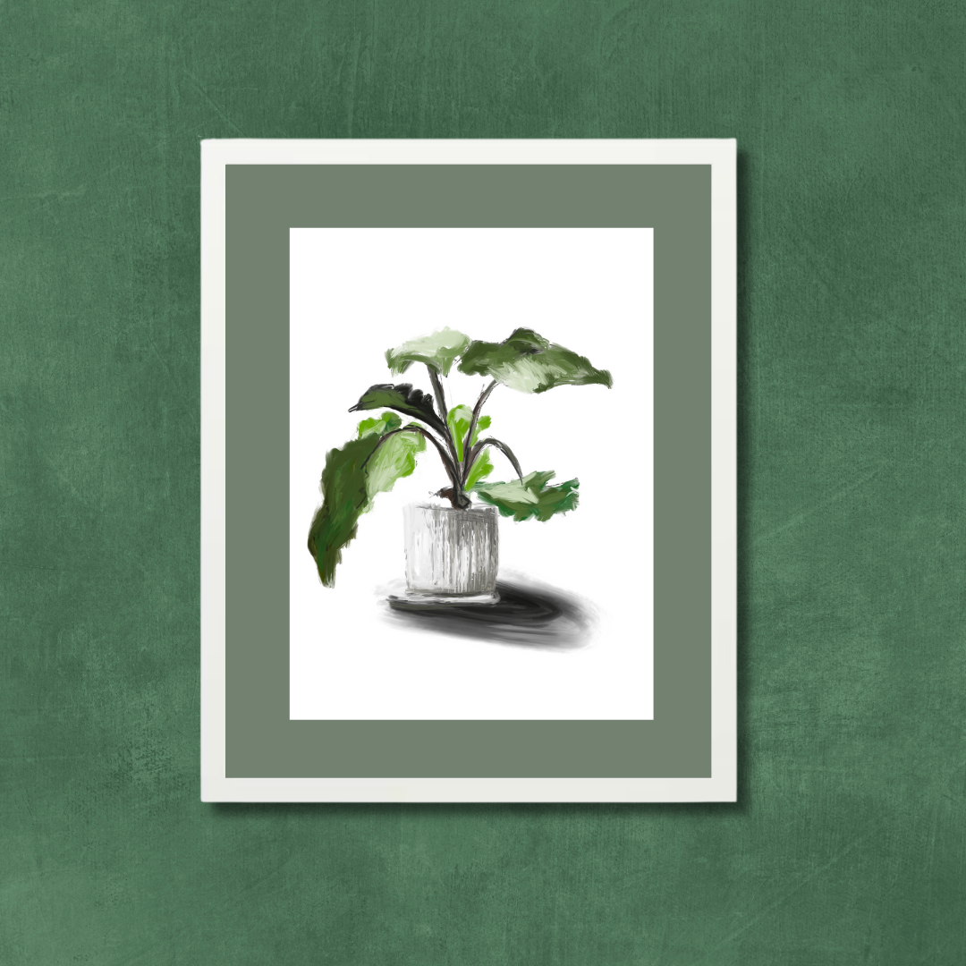 Plant 5