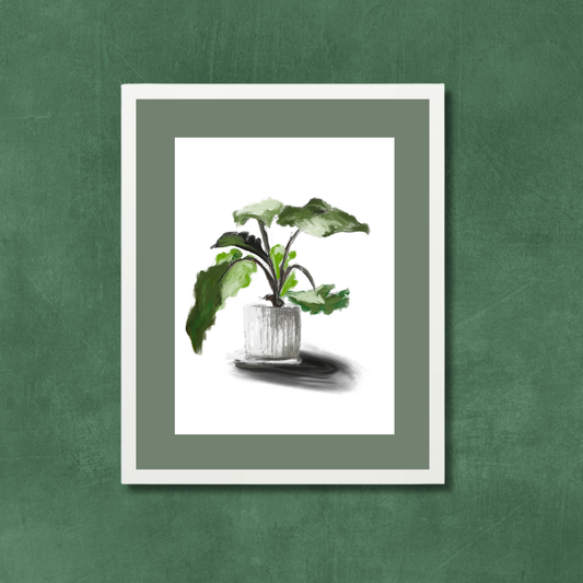 Plant 5