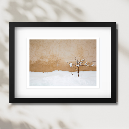 Warm Snow