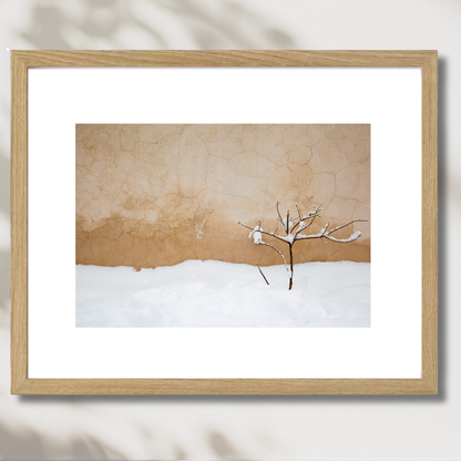 Warm Snow