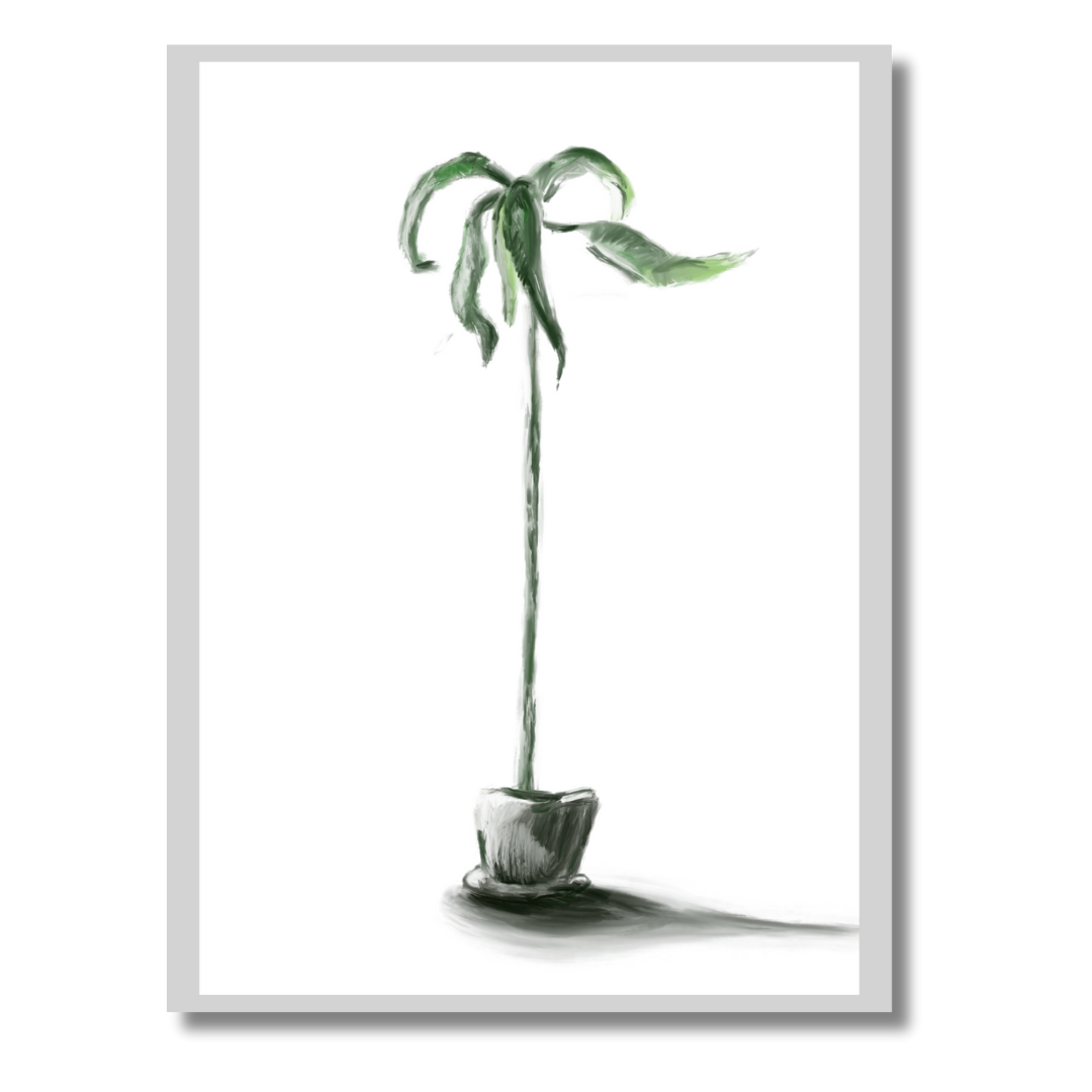 Gallery Wall Set: Plant