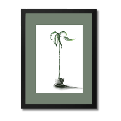 Plant 1