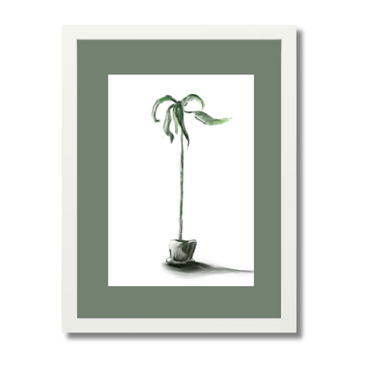 Plant 1
