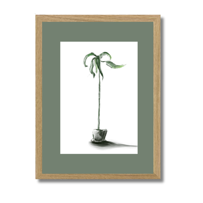 Plant 1