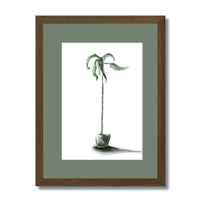 Plant 1