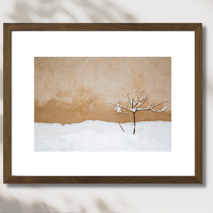 Warm Snow