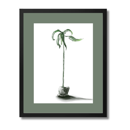 Plant 1