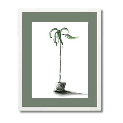 Plant 1