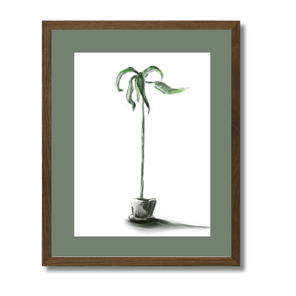 Plant 1