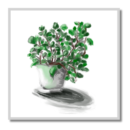 Gallery Wall Set: Plant