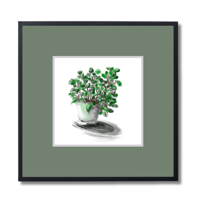 Plant 2