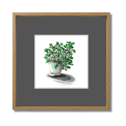 Plant 2