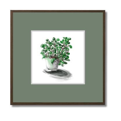 Plant 2