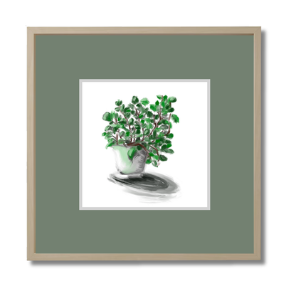 Plant 2