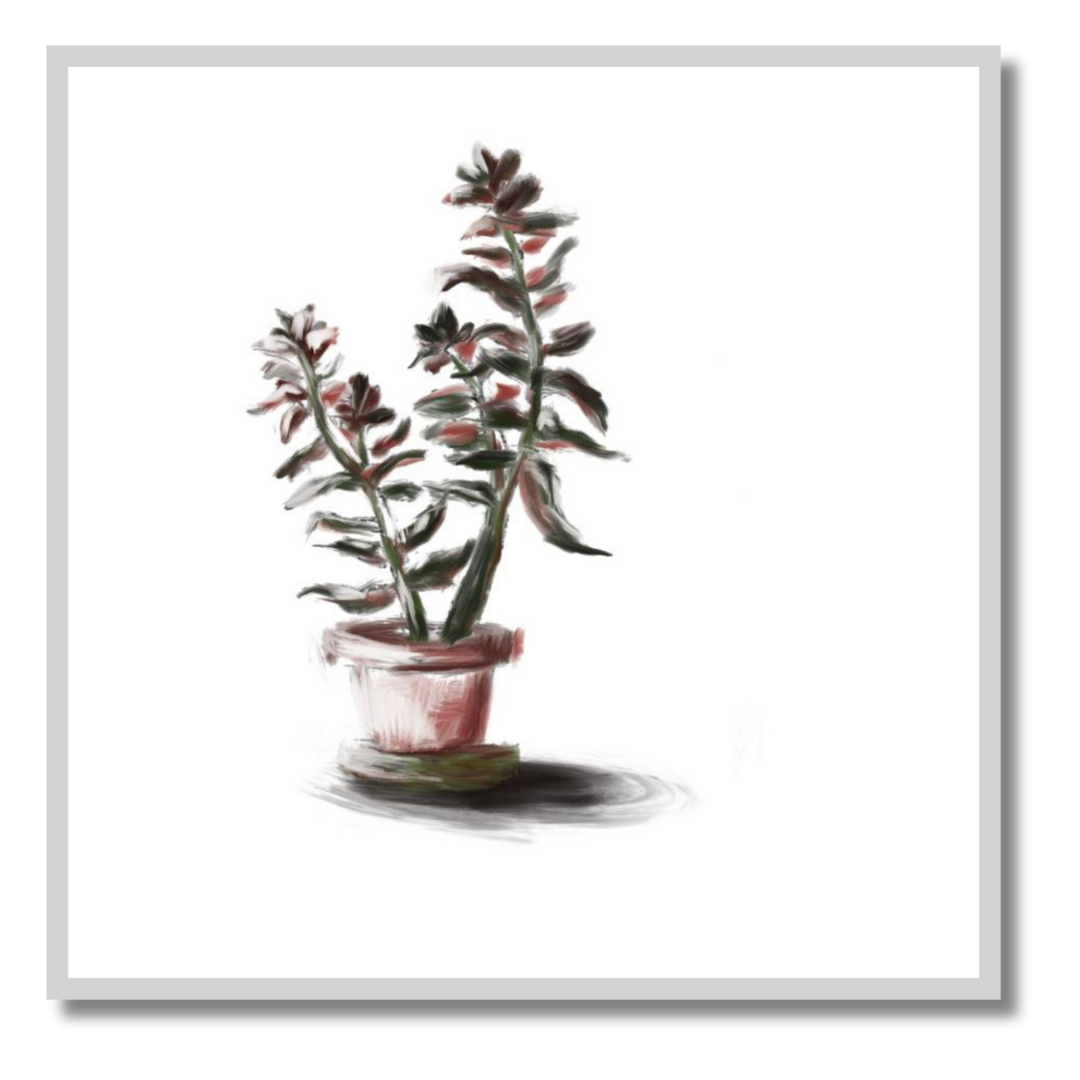 Gallery Wall Set: Plant
