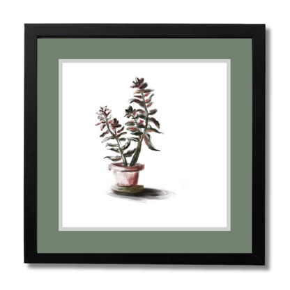 Plant 3