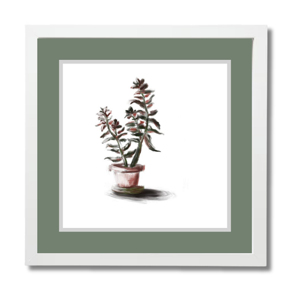 Plant 3