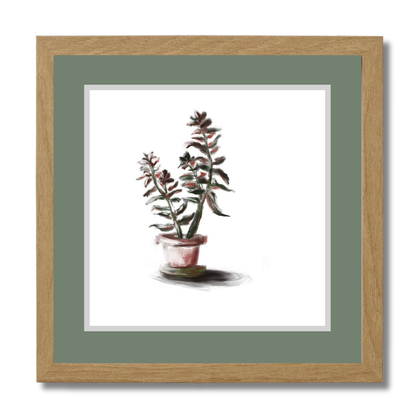 Plant 3