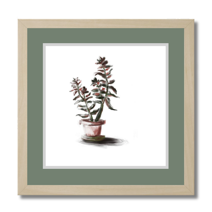 Plant 3