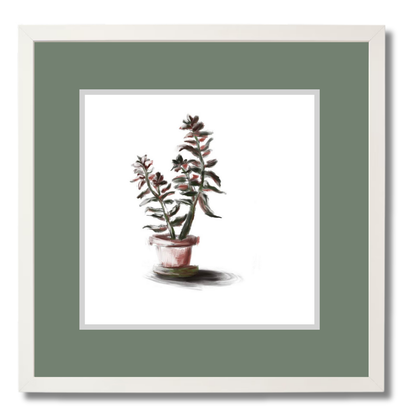 Plant 3