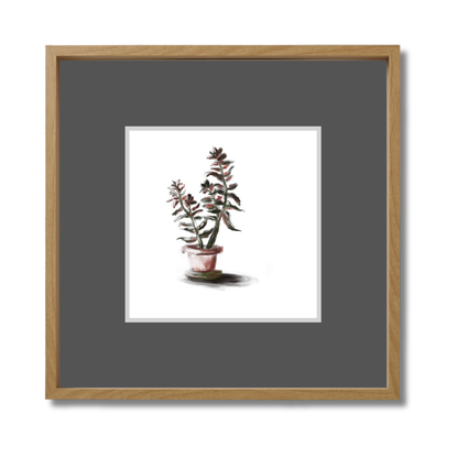 Plant 3
