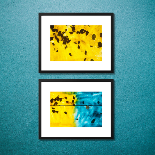 Gallery Wall Set – Harmony