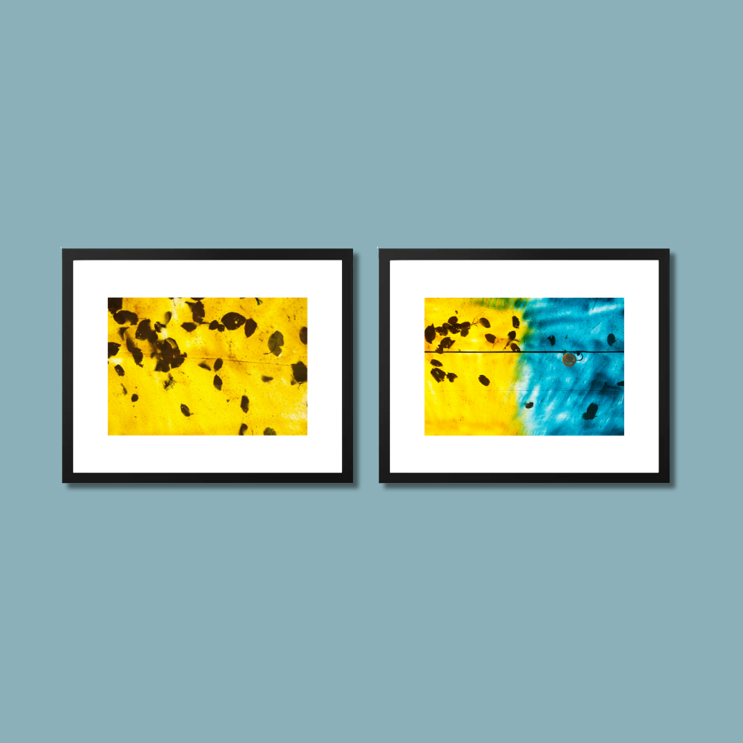 Gallery Wall Set – Harmony