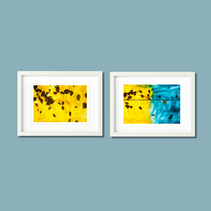 Gallery Wall Set – Harmony