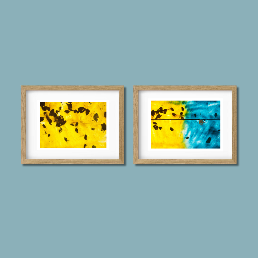 Gallery Wall Set – Harmony