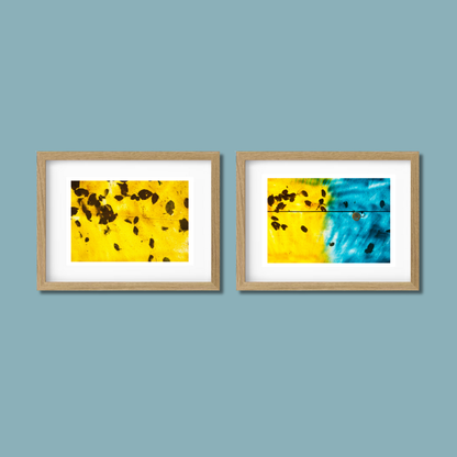 Gallery Wall Set – Harmony