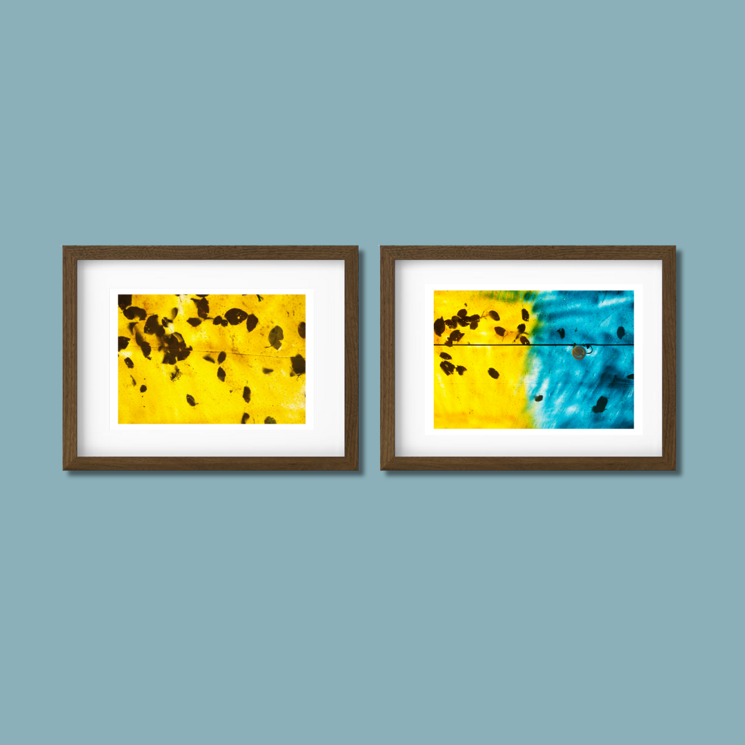 Gallery Wall Set – Harmony