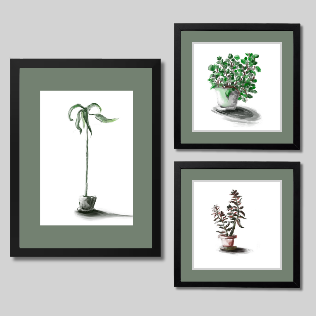 Gallery Wall Set: Plant