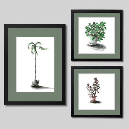 Gallery Wall Set: Plant