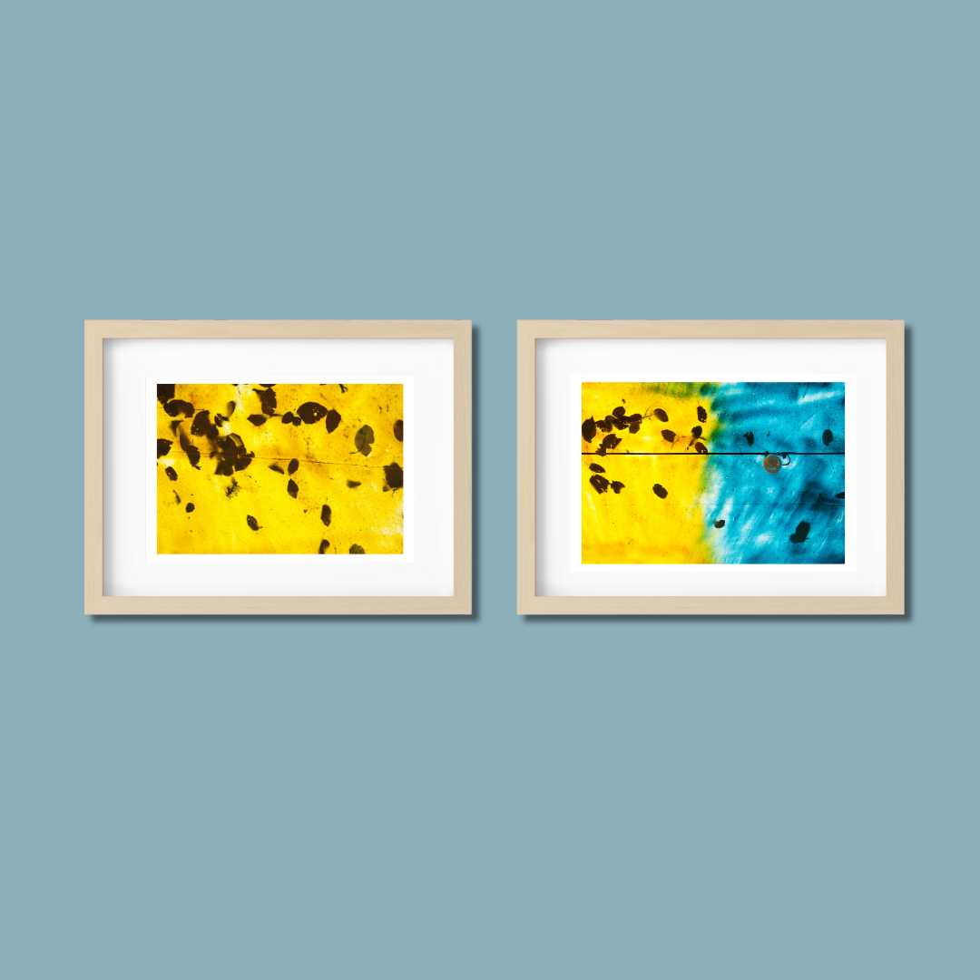 Gallery Wall Set – Harmony