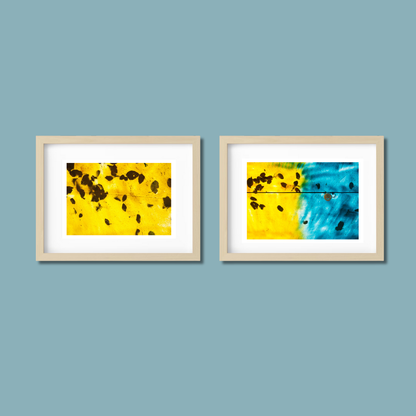 Gallery Wall Set – Harmony