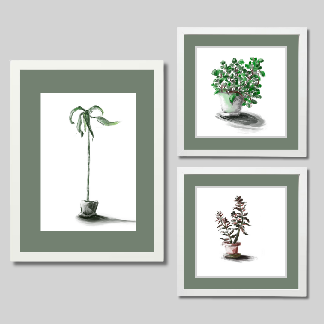Gallery Wall Set: Plant